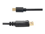 3 m Mini DisplayPort till DisplayPort 1.2-kabeladapter M/M