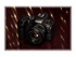 Canon RF lins - 50 mm