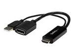 HDMI till DisplayPort-adapter