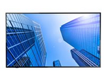 MultiSync E507Q - 50" Diagonal klass (49.5" visbar) LED-bakgrundsbelyst LCD-skärm