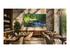 Sony Bravia Professional Displays FW-98BZ53L BZ53L Series