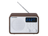 Blaupunkt PP7BT - personlig radio