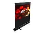 Ez-Cinema F100NWH