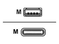 Zebra - USB typ C-kabel