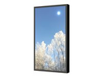 Wall Casing PROTECT 43" Portrait