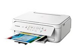 PIXMA TS5151 - Multifunktionsskrivare