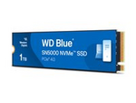 WD Blue SN5000 WDS100T4B0E