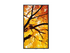 Sharp MultiSync M322 M Series