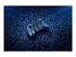 Razer Wolverine V2 Pro