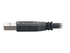 C2G - USB-kabel - USB typ A till USB typ A