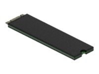 HP - SSD - 512 GB - PCIe (NVMe)