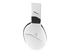 Turtle Beach RECON 200