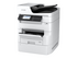 Epson WorkForce Pro RIPS WF-C879R