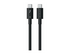 Satechi Pro - Thunderbolt-kabel