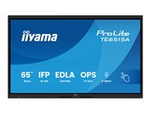 ProLite TE6515A-B1AG