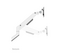 Neomounts NEXT Slim DS70-250WH2 monteringssats