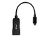 i-Tec USB-C Display Port Adapter