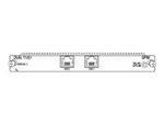 Gigabit-Backplane Pluggable Interface Module