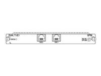 Juniper Networks Gigabit-Backplane Pluggable Interface Module