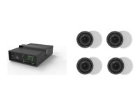 VivoLink - AUDIO Pack