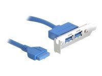 DeLOCK Slot bracket - USB-panel