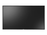Neovo PD-43Q - 43" Diagonal klass (42.5" visbar)