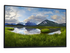 Dell P2425HE - LED-skärm