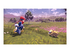 Pokémon Legends Arceus Nintendo Switch
