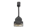 DisplayPort to DVI-D Adapter