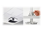 Universal Suspended Ceiling Projector System
