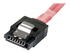 StarTech.com 50cm Serial Attached SCSI SAS Cable