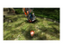 Pikmin 1+2 Nintendo Switch