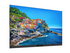 Optoma ProScene FHDC135 135" LED-display