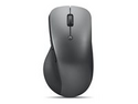Lenovo Professional - Mus