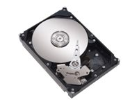 Lenovo - hårddisk - 500 GB