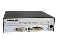 Black Box VGA/DVI to DVI-D Converter