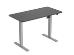 Ergo Electric Sit-Stand Desk