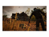 State of Decay 2 Microsoft Xbox One
