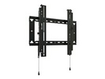 Fit Medium Tilt Wall Mount