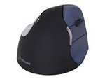 VerticalMouse 4 Right Wireless