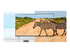 LG 55UR762H3ZC UR762H Series