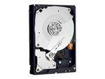 WD RE4 WD5003ABYX - Hårddisk