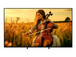 Bravia 5 K-55XR5