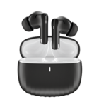 True Wireless ANC Earbuds Svart