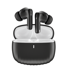 True Wireless ANC Earbuds Svart