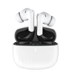 True Wireless ANC Earbuds Vita