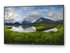 Dell P5524Q 55" Klass (54.6" visbar) LED-bakgrundsbelyst LCD-skärm