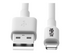 Eaton Tripp Lite Series USB-A to Lightning Sync/Charge Cable (M/M)