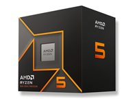 AMD Ryzen 5 9600 / 3.8 GHz processor