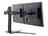 Iiyama DS1002D-B1 ställ